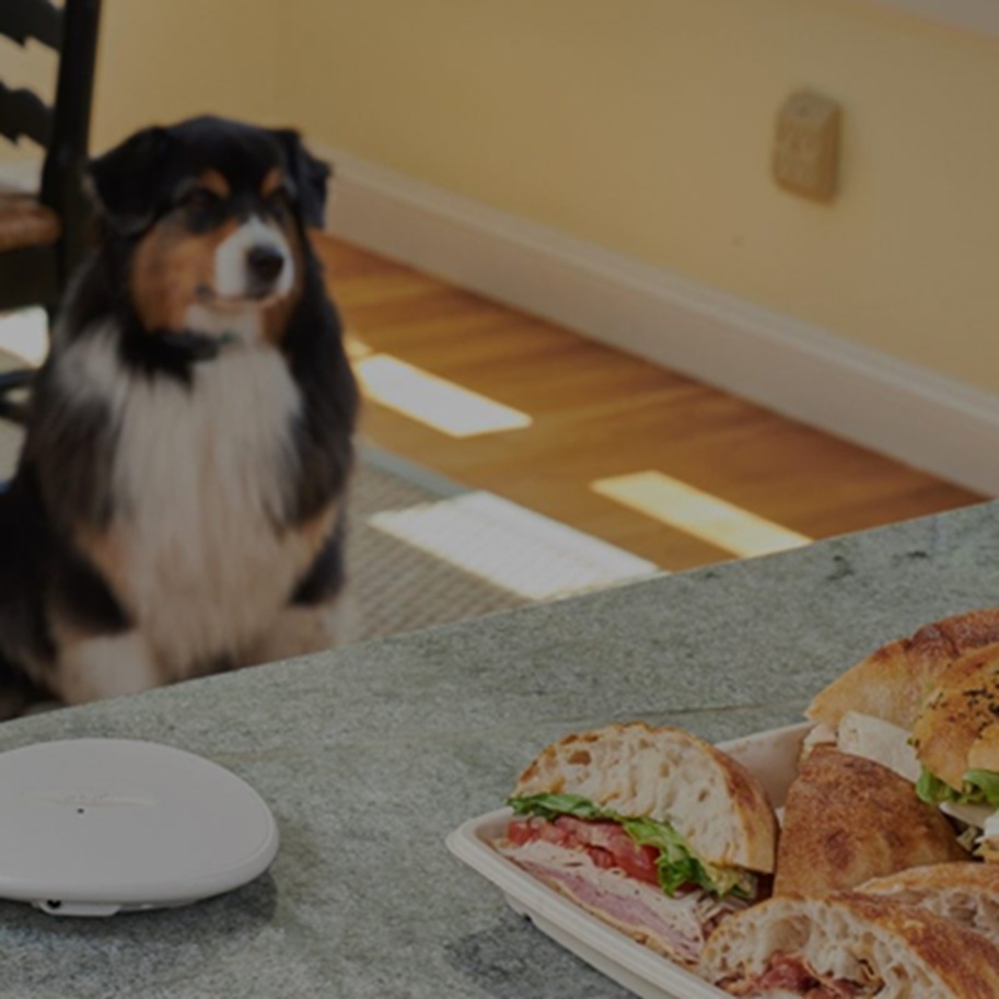 DogWatch MB-2 - Wireless or Wired Dual Function Pet Barrier | Transmitter + Collar