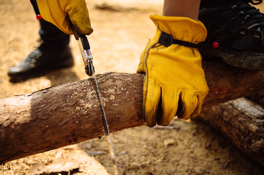 close up of silky saw