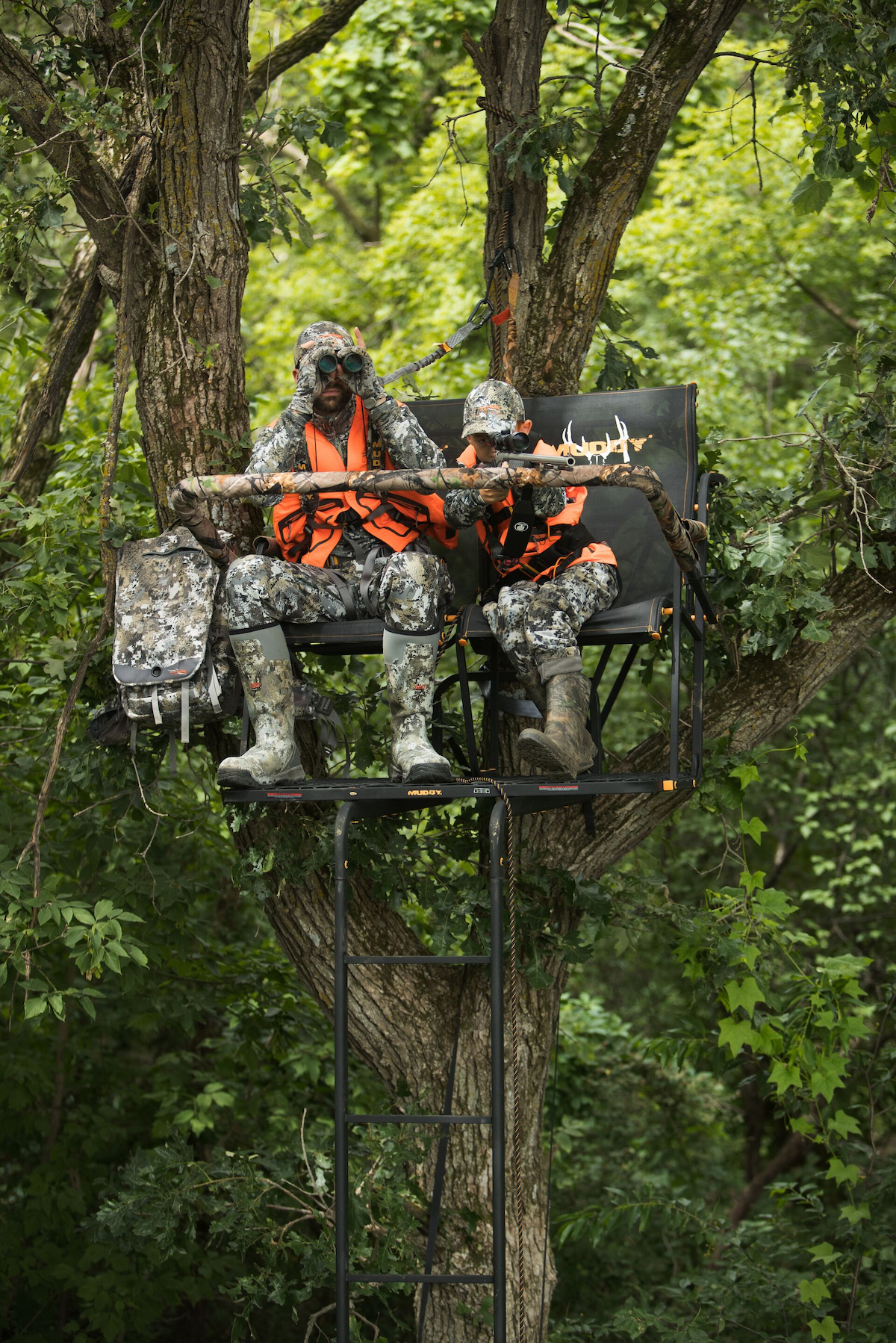 tree stand