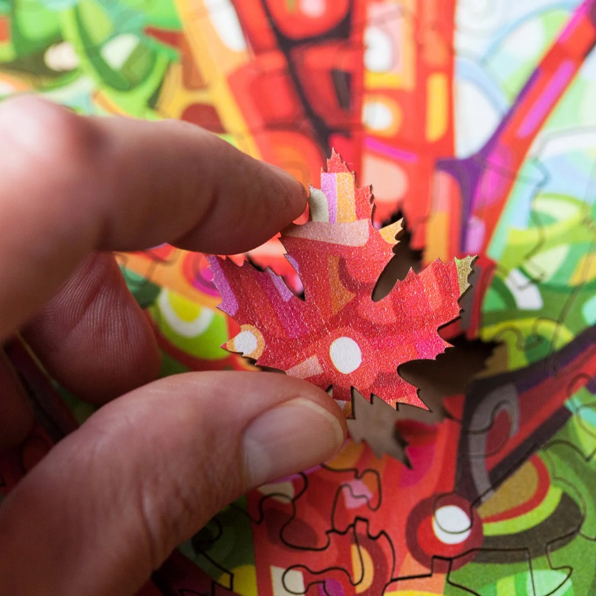 Jigsaw puzzle