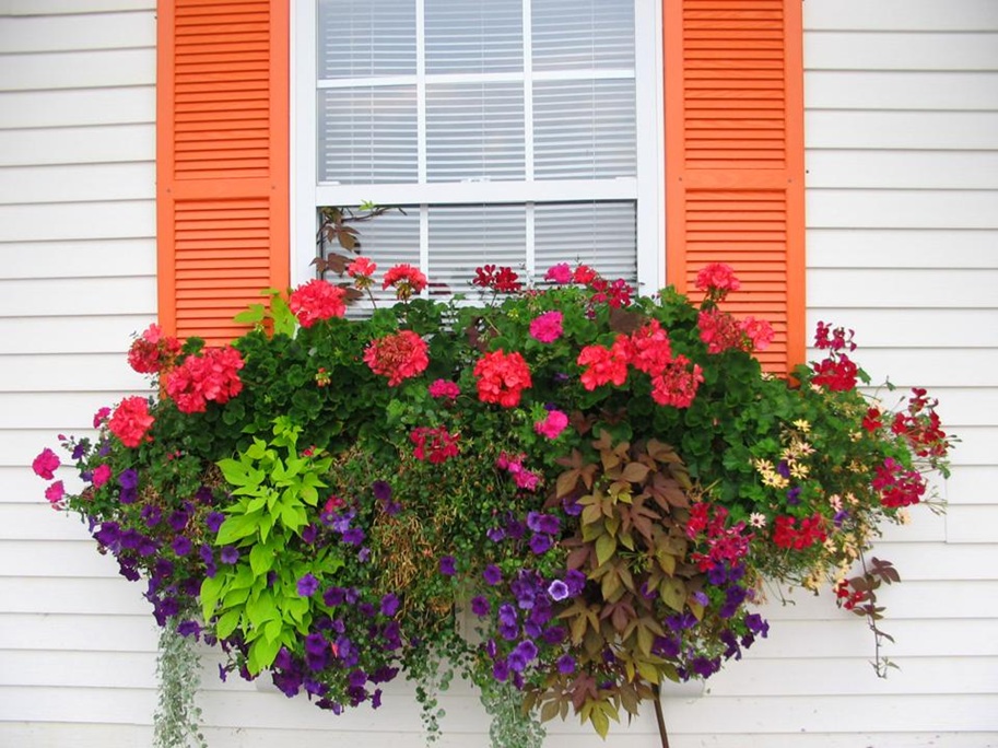 window planter box
