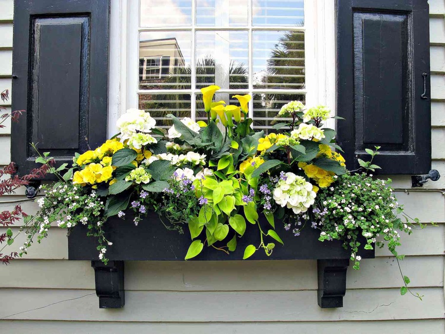window planter box